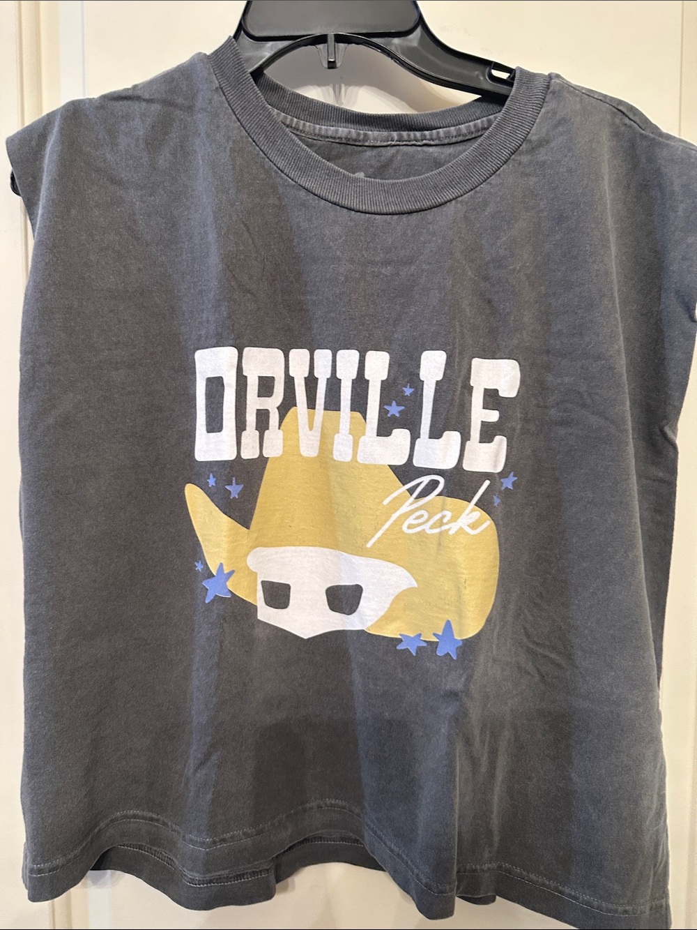Orville Peck Grey Crop Top